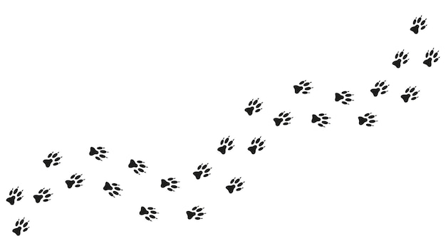 Pad voetafdrukken van hond puppy wolf fox Hond pootafdruk silhouet Track Vector Wolf trace Dierenwinkel