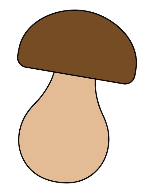 Paddenstoel Fairy boletus met ronde bruine hoed Zomeroogst Seizoensproduct Biologisch product