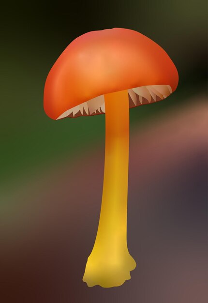 paddenstoelen op een gras