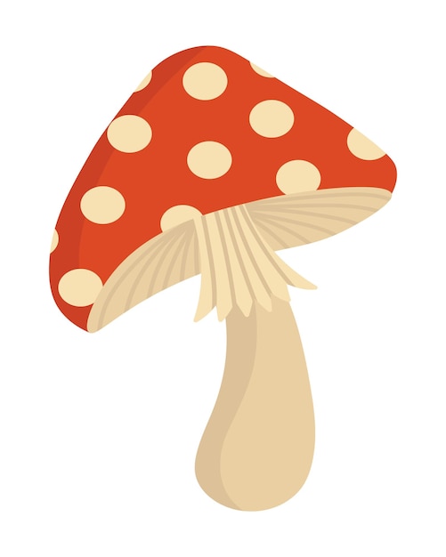 Paddenstoelen