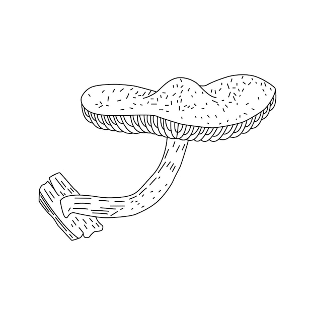 Paddestoel illustratie logo Paddestoelen tattoo zeer gedetailleerde lijntekeningen Zwart-wit illustraties op witte achtergrond antieke vintage gravure illustratie