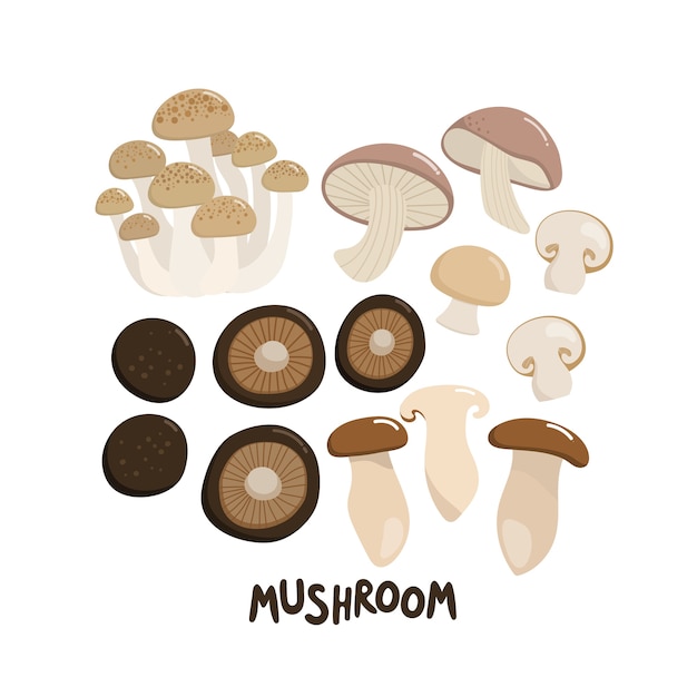 Paddestoel omvatten shiitake