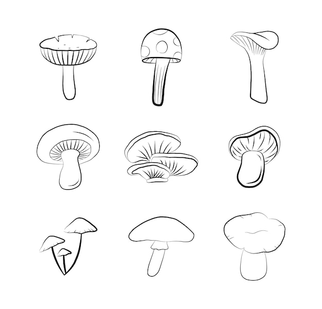 Paddestoel pictogrammenset geïsoleerde vector grafische schets doodle tekening. bos herfst seizoen plantaardig voedsel schets print.