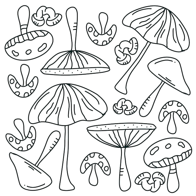 Paddestoel plant decorontwerp vector