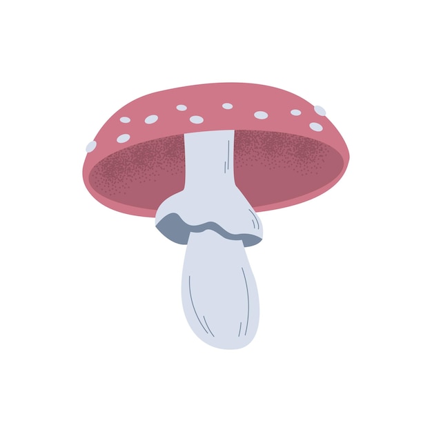 Paddestoelen Een ongewone mystieke bos giftige giftige vliegenzwam paddestoel Een handgetekende element voor uw ontwerp Cartoon stijl Vector clipart op een afgelegen witte achtergrond