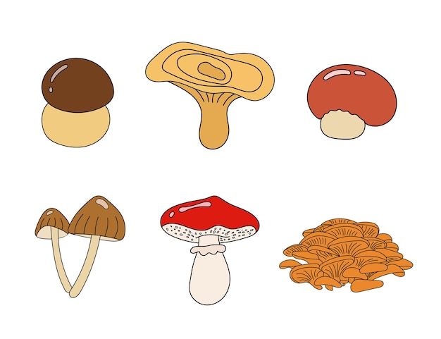 Paddestoelen. Gouden cantharel, champignons. Verzameling van schattige bospaddestoelen in cartoonstijl