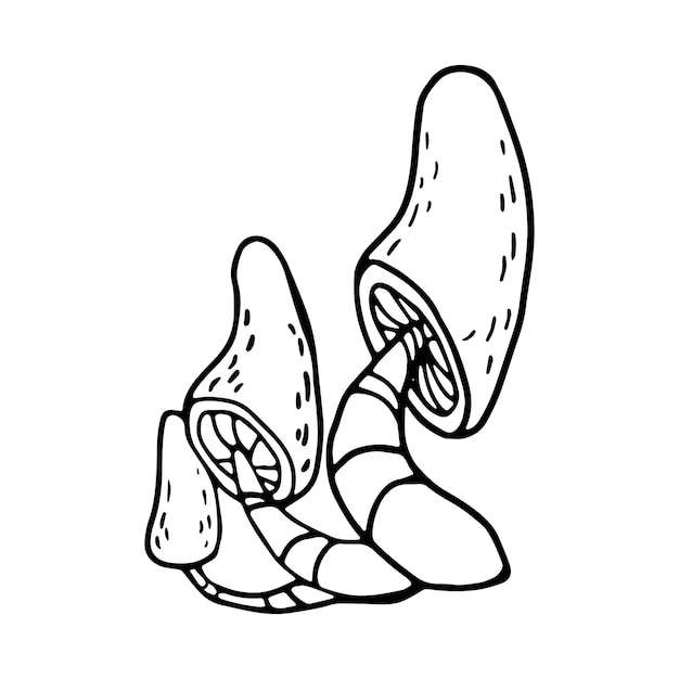 Paddestoelen in doodle stijl Hand getekende illustratie