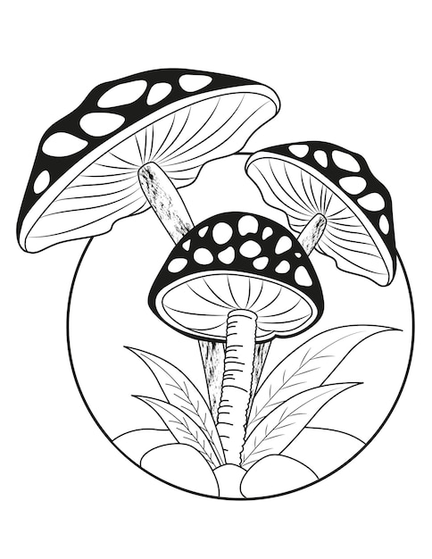 Paddestoelen Kleurplaten Paddestoel Overzichtstekening Paddestoel zwart-wit vector