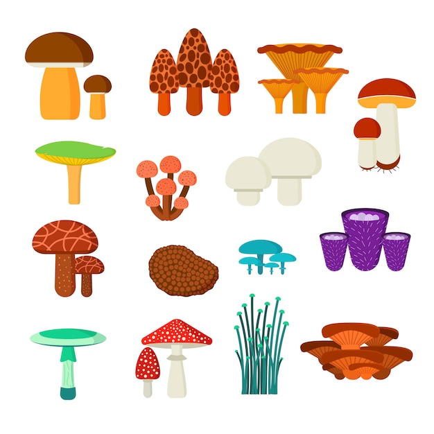 Vector paddestoelen vector illustratie set