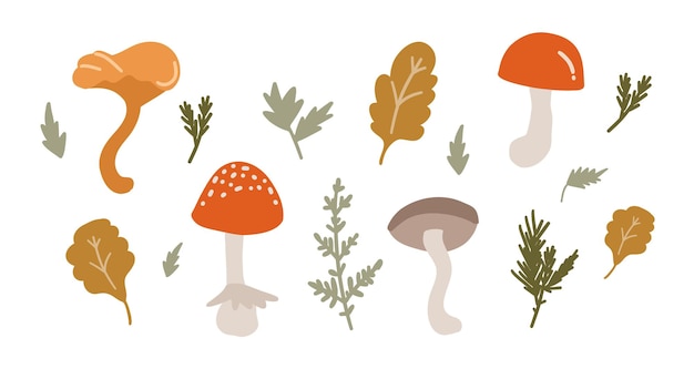 Paddestoelen vector set Herfst seizoen platte set van schattige stripfiguren en elementen Hand getrokken collectie met vliegenzwam paddestoelen varens porcini paddestoel cantharel paddestoel bladeren