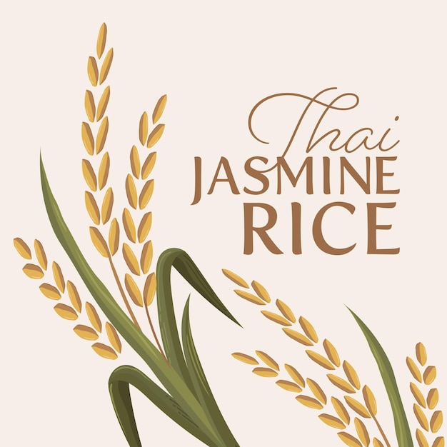 Paddy rice premium organic natural product banner logo vector design