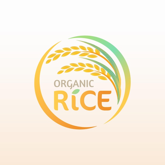 paddy rice premium organic natural product banner logo vector design