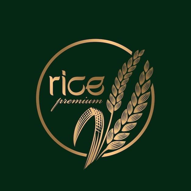 Paddy rijst premium biologisch natuurlijk product banner logo vector ontwerp