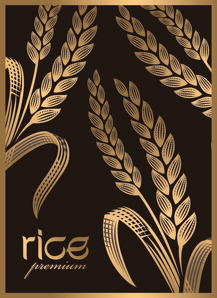 Paddy rijst premium biologisch natuurlijk product banner logo vector ontwerp