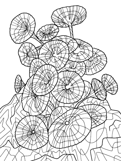 Padina pavonica 해초는 낙서가 있는 성인 항스트레스 색칠 페이지를 위한 자유형 스케치를 분리했습니다.