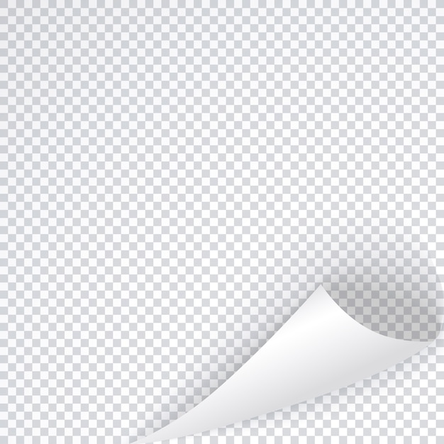 Vector page corner template with shadow, bent sheet of white list, curled transparent note.