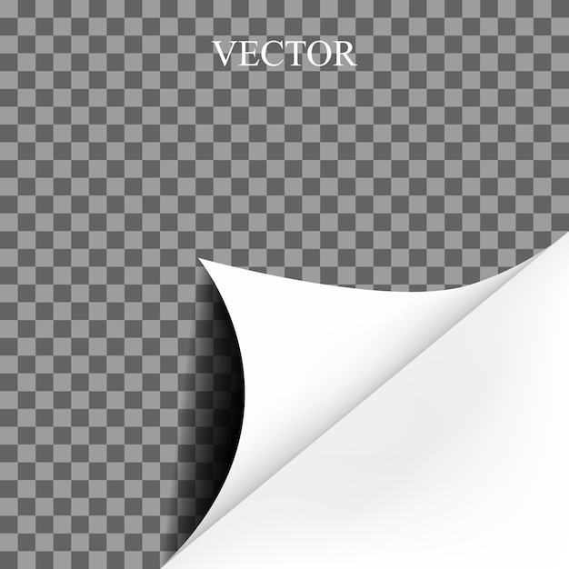 Vector pagina gekruld blanco papier