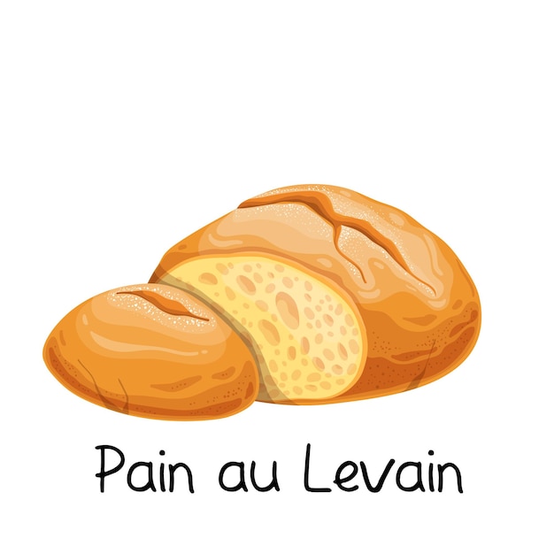 Pain au levain, sourdough bread icon. French bakery product colored illustration.