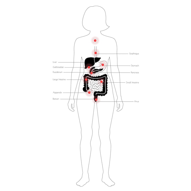 Pain in human body