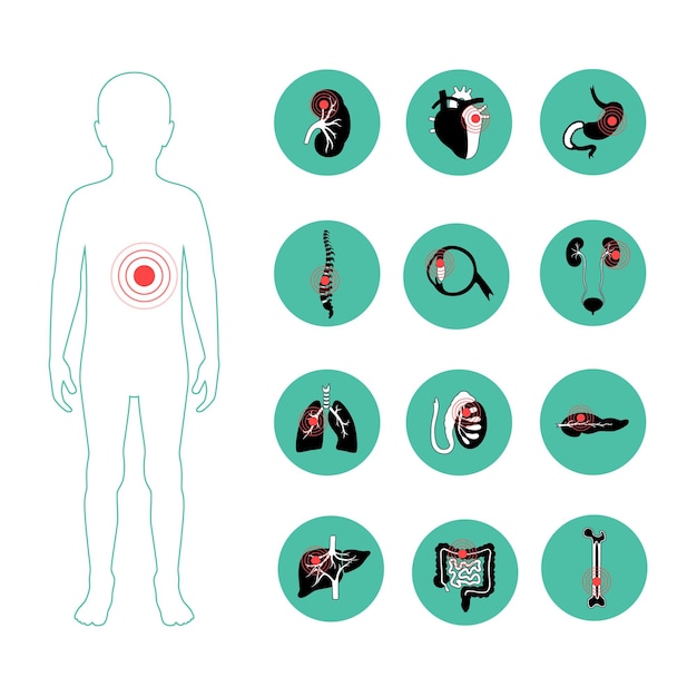 Vector pain in human body