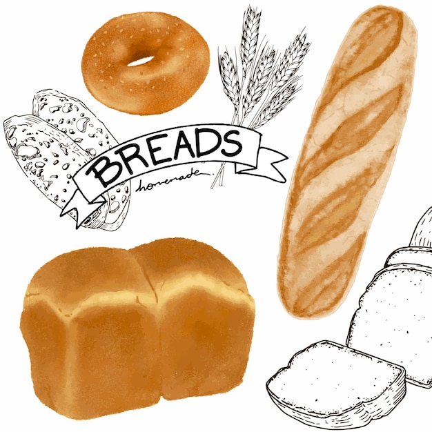 Paint illustration Bread homemade