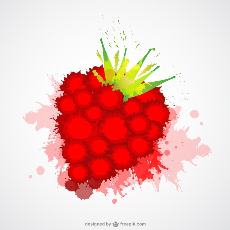 Vector paint splashes raspberry