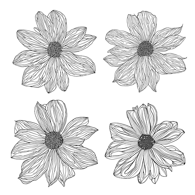 Vector painted flowers isolated on white background