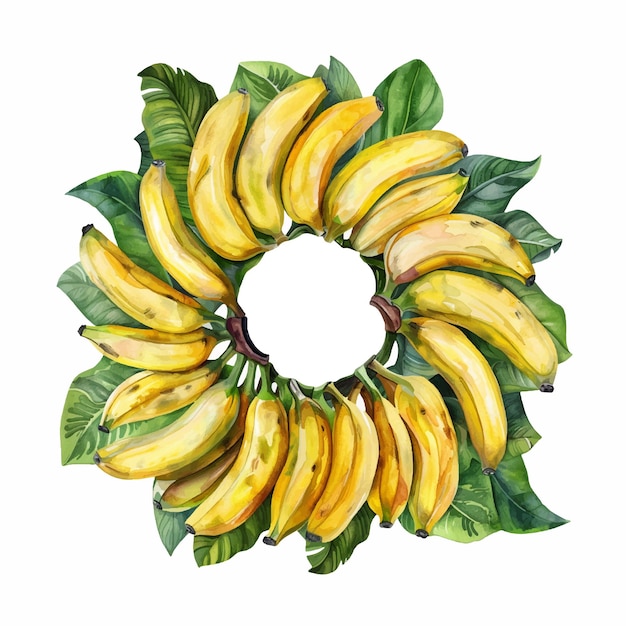 Vector painting of banana wreath