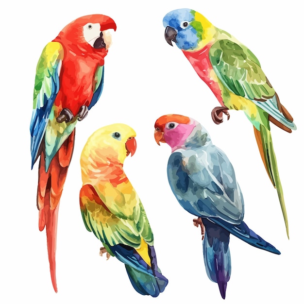 Vector painting featuring birds