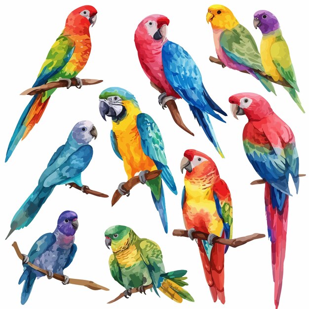 Vector painting featuring birds