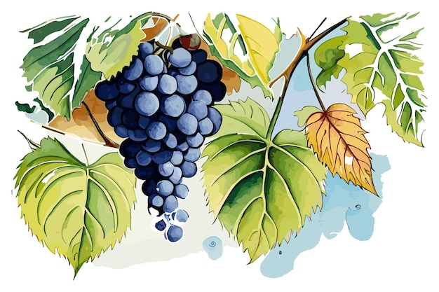 A painting of grapes and leaves with the word grapes on it.