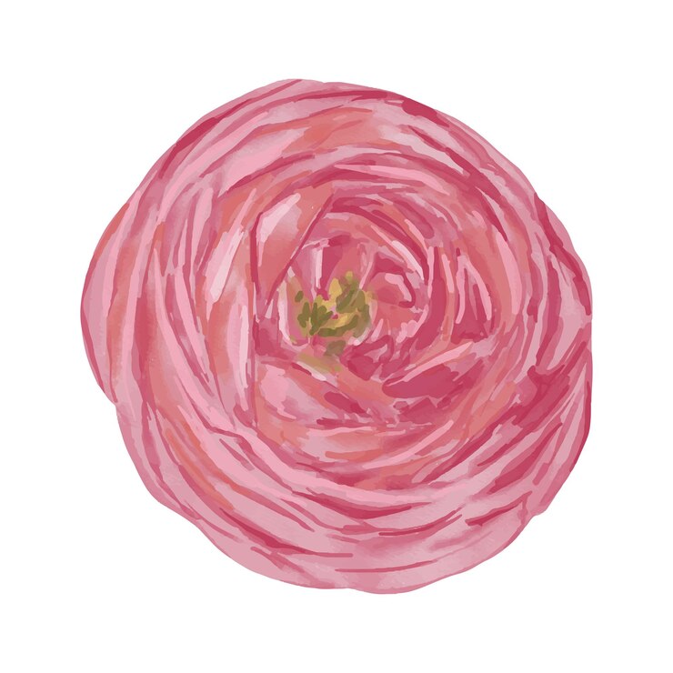Vector 中心が緑のピンクの花の絵。