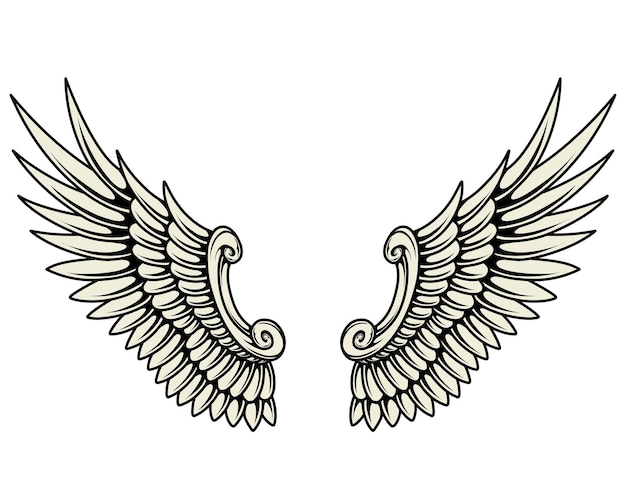 Vector a pair of angel wings with the word wings on the bottom.