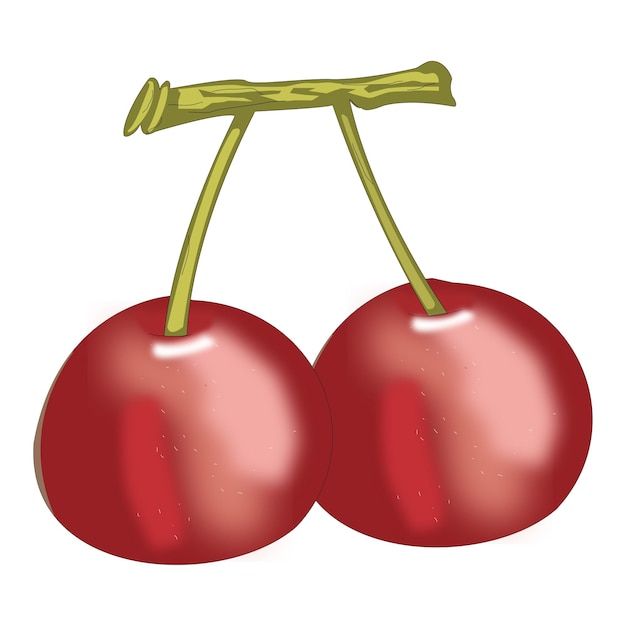 A pair of cherries