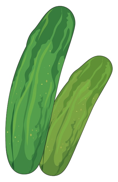 A pair of cucumbers