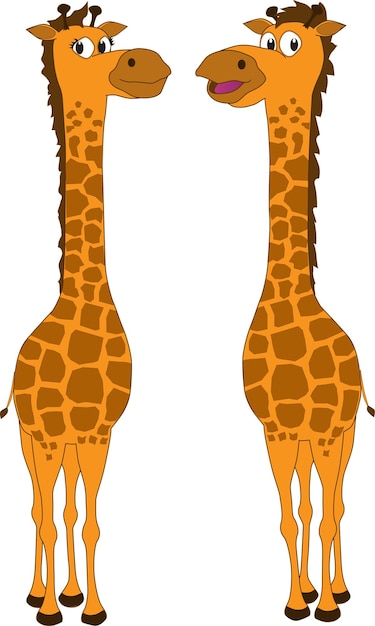 Vector a pair of friendly giraffes