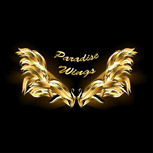 Premium Vector  Gold feather wings. glowing wings. paradise angel