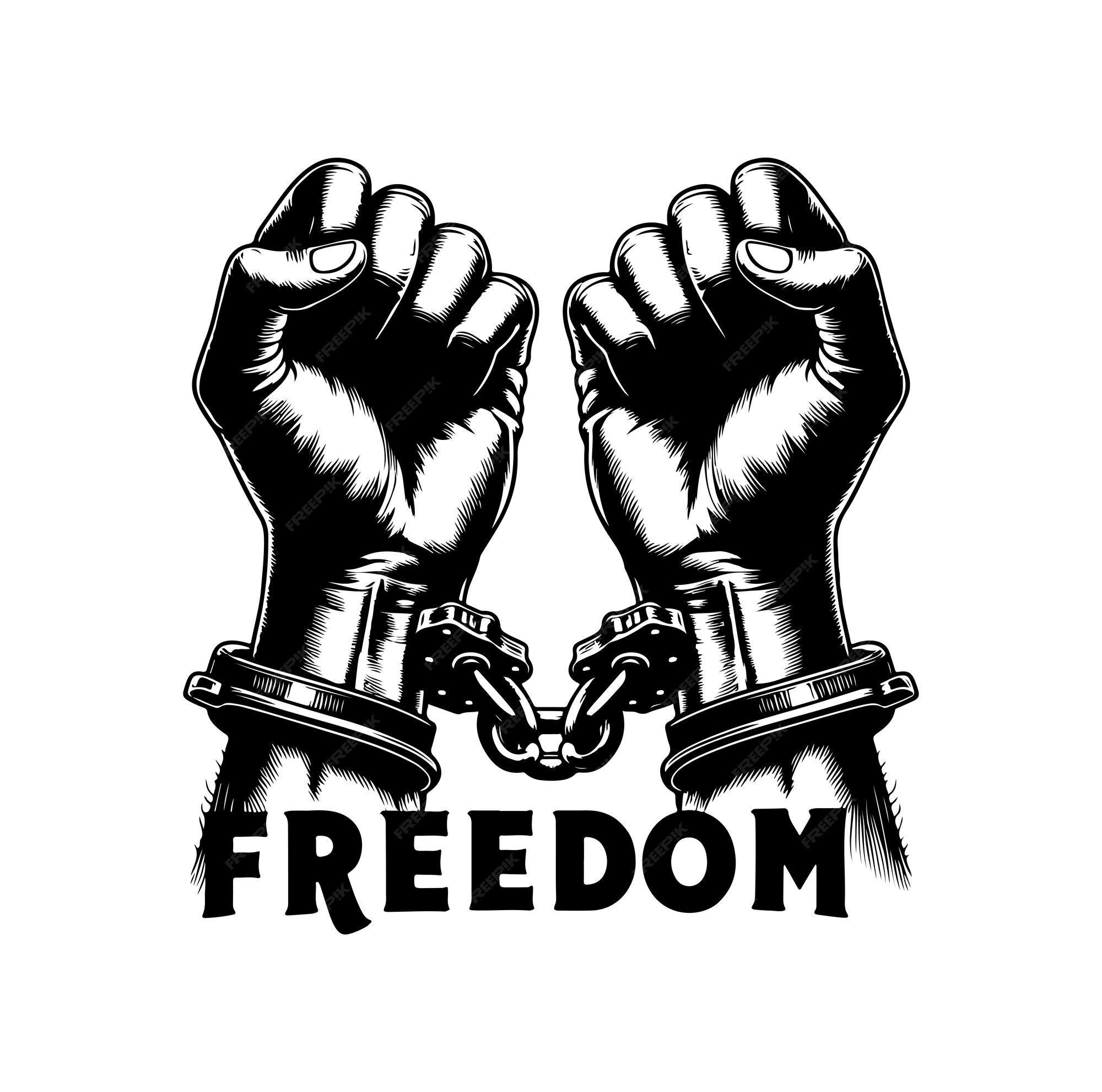 Freedom Finance Murfreesboro Your Guide to Local Financial Solutions