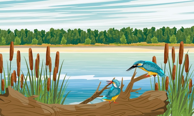 Vector a pair of kingfishers perched on a branch in a thicket of reeds and cattails on the shore of a lake