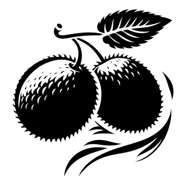 Premium Vector Pair Of Kiwis A premium-vector-pair-of-kiwis-a