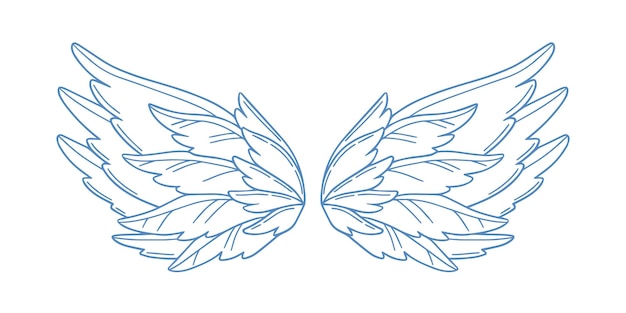 Pair of monochrome wide open holy wings vector illustration. Gorgeous feather wing of bird, cupid or angel isolated on white background. Symbol of heaven and paradise.