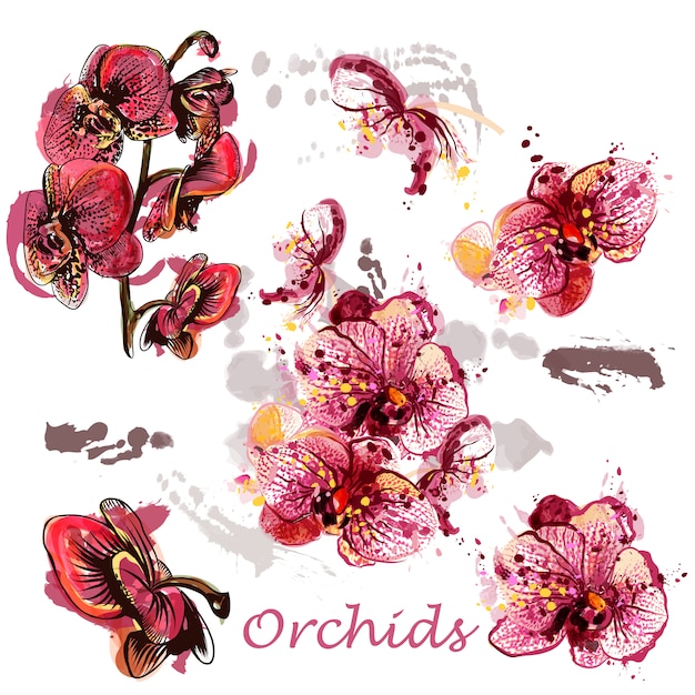 Pak van aquarel orchideeën