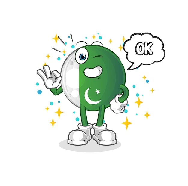 Pakistaanse vlag eens mascotte. cartoon vector