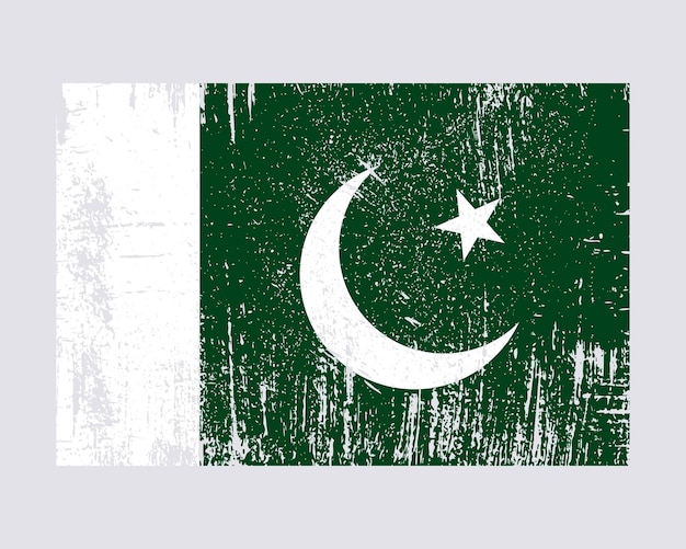 Vector pakistaanse vlag vector