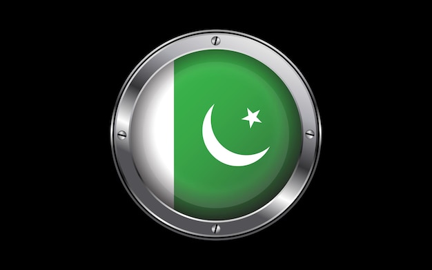 Pakistan flag in 3d vector