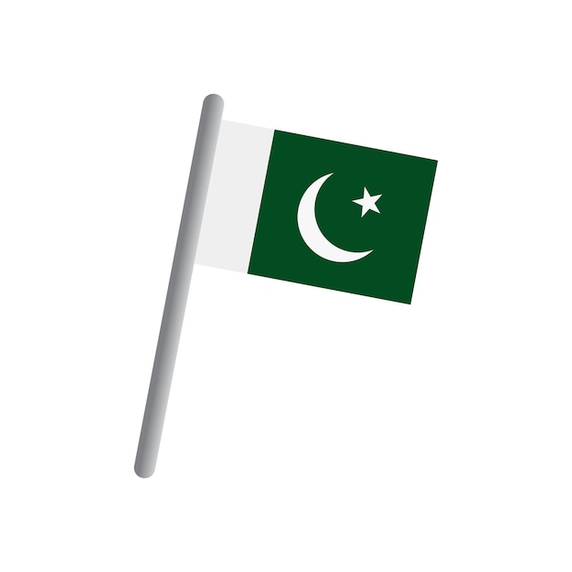 Pakistan flag icon vector