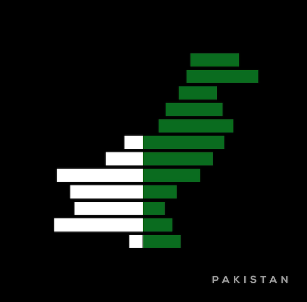 Pakistan map in graphic form vector Pakistan map in strips of Flag colors