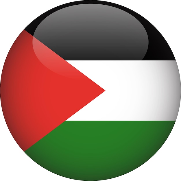 Palestina 3d afgeronde vlag knop