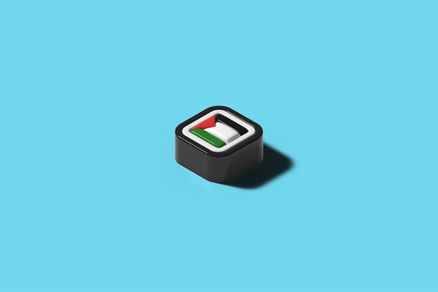 Vector palestine sushi square with blue background