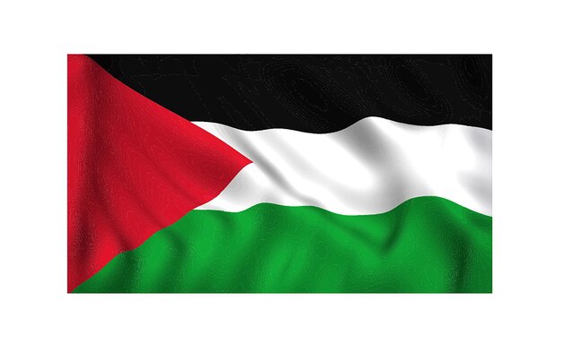 Palestinian flag design unity in artistic expression